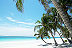 Beaches