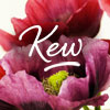 Kew