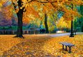 Boston Public Garden