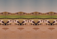 Cattle Orchard