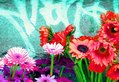 Flowers 2
