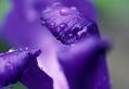 Sidebar_thumb_8339000014.jpg?nocache=1330032778