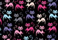 Prancing Kitten