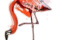 Sidebar_thumb_flamingo.jpg?nocache=1330091048