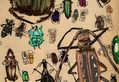 Sidebar_thumb_bugs_bugs_bugs.jpg?nocache=1330040303