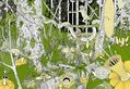 Sidebar_thumb_matt_johnstone_illustration_rainforest_01.jpg?nocache=1330097687