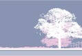 Lemonade Blue Tree