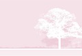 Lemonade Pink Tree