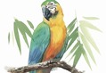 Sidebar_thumb_626-02648197.jpg?nocache=1330437941