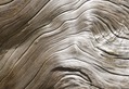 Liquid Tree