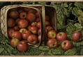 Apples