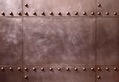 Bolt Plate