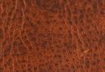 Sidebar_thumb_shutterstock_3177076.jpg?nocache=1330683171