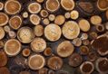 Logs