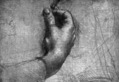 Study of Hands