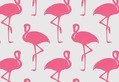 Balance Pink