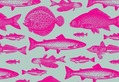 CATCH - pinks