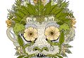 Sidebar_thumb_matt_johnstone_illustration_monkey_face_01.jpg?nocache=1331808614