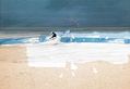 Surfer 1