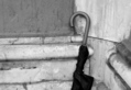 Sidebar_thumb_rainman.jpg?nocache=1343043539