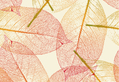 Autumn Leaves