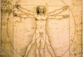 The Vitruvian Man