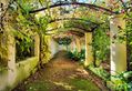 Autumnal Arch
